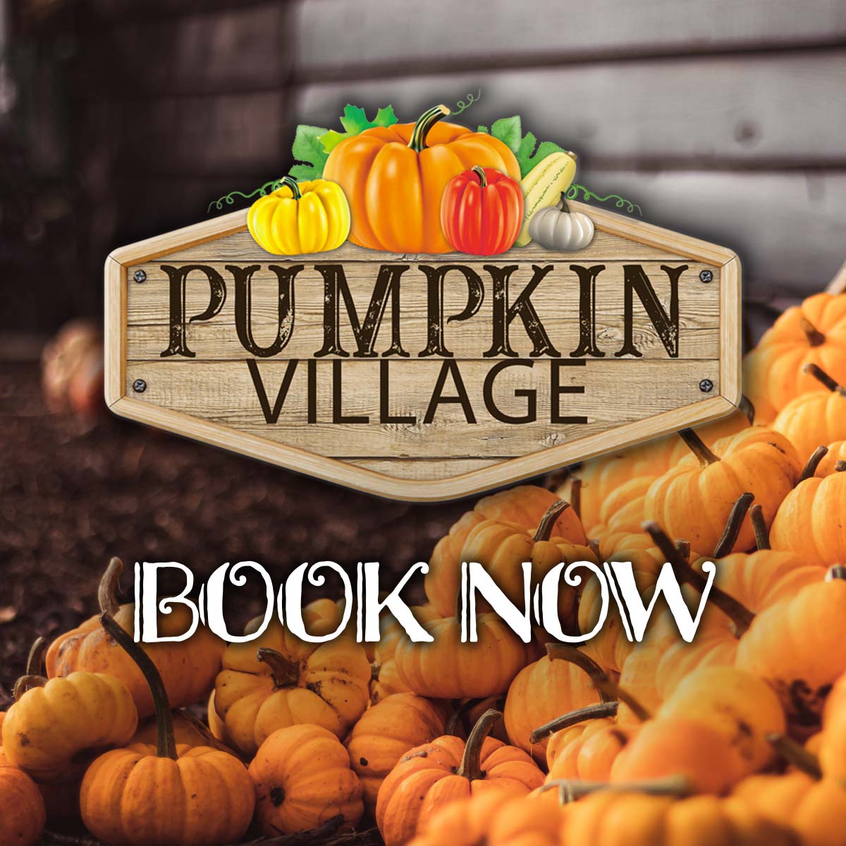 Pumpkin Picking Village - Book Now