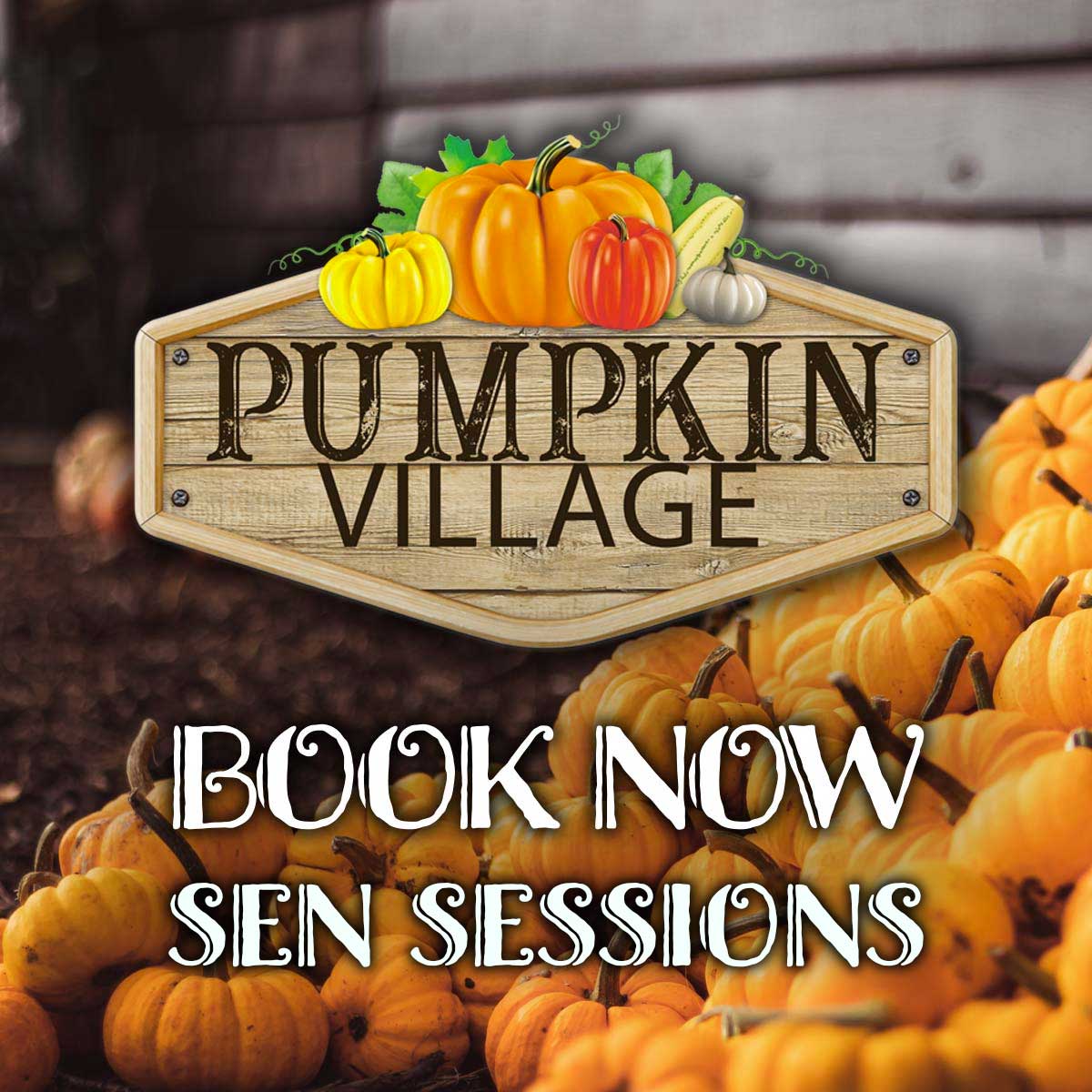 Pumpkin Picking Village - SEN Sessions Book Now